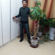 杨裕海