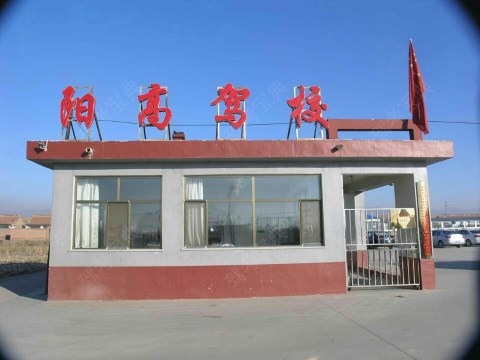 美女日日,欧美美女销魂动态图,超级欧美碰免费底内裤人人图片