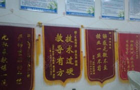 汇达驾校马景坤教练|马景坤教练评价怎么样|石