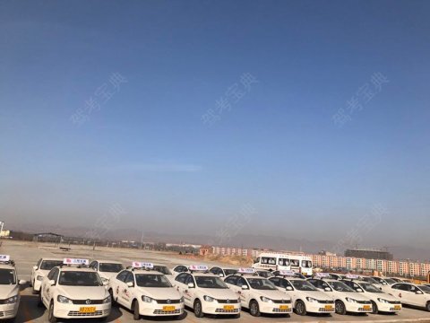 动态日日,欧美美女销魂人人图,超级欧美碰免费32E的美女图片