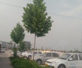 裕兴驾校