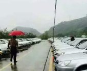 路发驾校