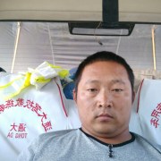 武飞