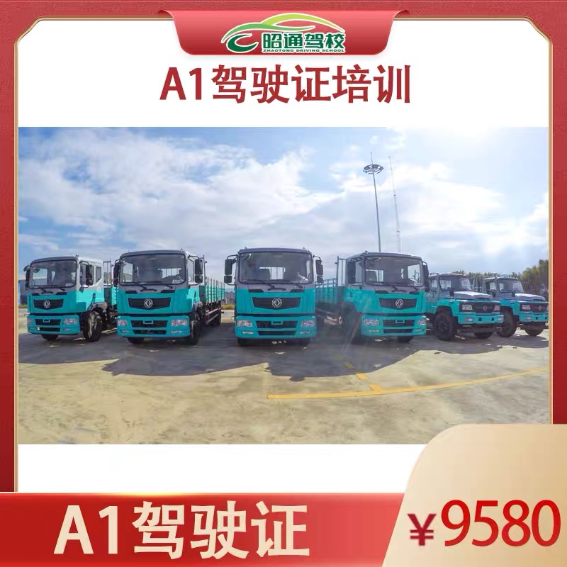 a1普通班 多人一车教练接送 班型的详细介绍和服务特色,请点击报名