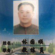 林国顺