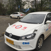 白师