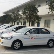 杨维