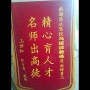 马延波