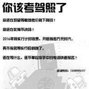 杨春华