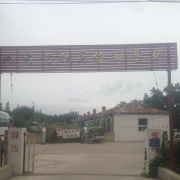 刘教练
