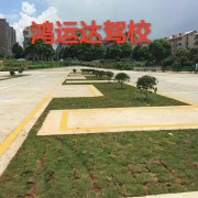 蘇主任