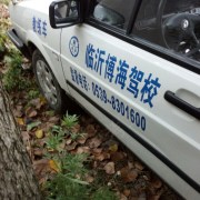 张风格