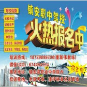 董新伟