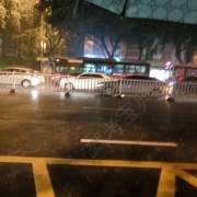 杨教练