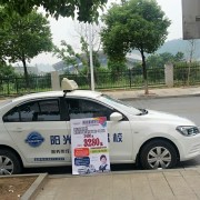 杨金平