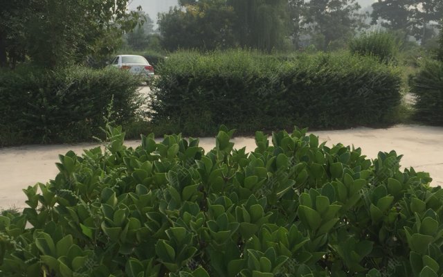 新民驾校王沛教练|王沛教练评价怎么样|咸阳驾驶员教练【咸阳新民驾校