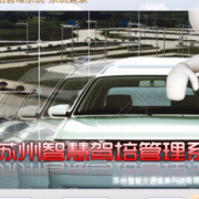 刘娟