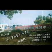 杨代富