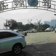 唐伟