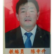 陈专升