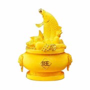 王佳宁