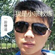 宗振国