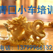 林秀雨