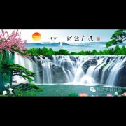 教练