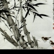 陈教练