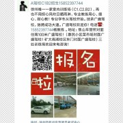 杨教练