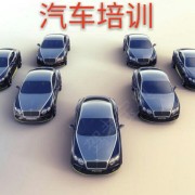 林教练