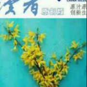 王强