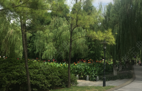 教学环境