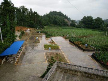 吉利驾校