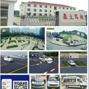 鼎立驾校陈教