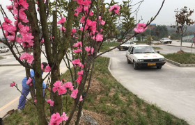 教学环境