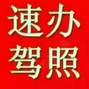 秦腾建