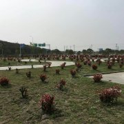 教學(xué)環(huán)境