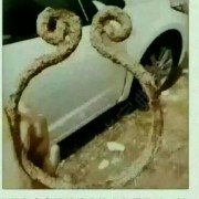 钟教练