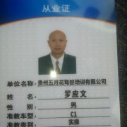 罗应文