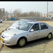 爱鸽飞翔