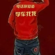 三顺达韩教练