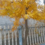 教學(xué)環(huán)境