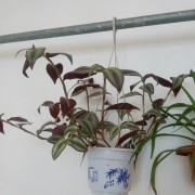 教學(xué)環(huán)境