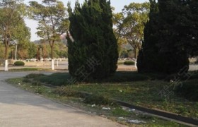 教學(xué)環(huán)境