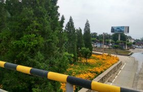 教学环境