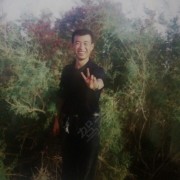 杨林