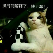 稳过科目