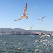 沈教练