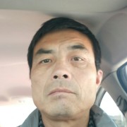 郑涛